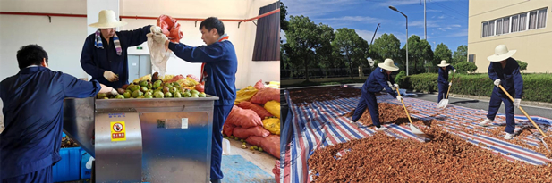 1724381889541098499.jpg 8.jpg