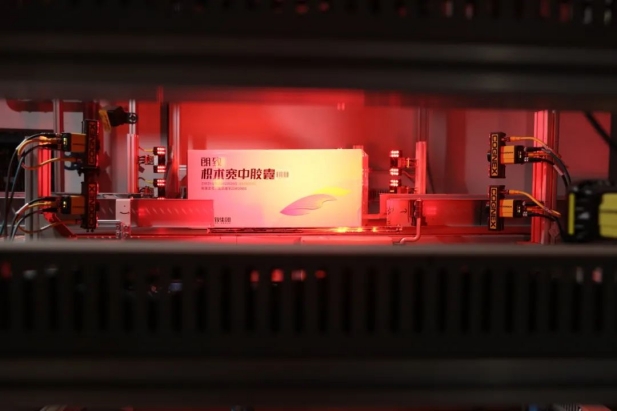 1745820179513000344.jpg 1.jpg