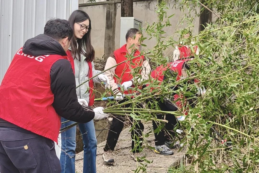 1774427084563039381.jpg f11.jpg