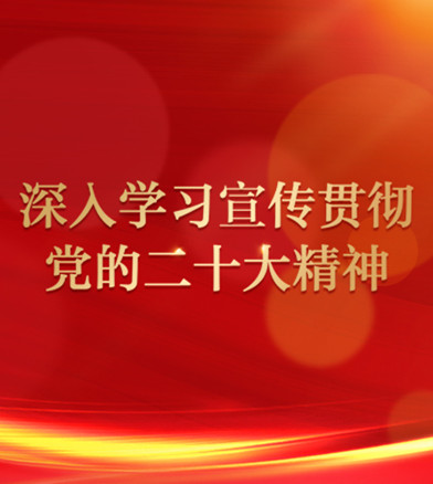 深入学习宣传贯彻党的二十大精神