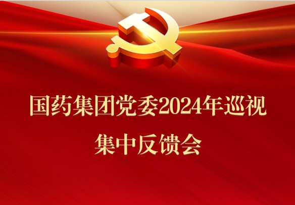 雷竞技RAYBET·(中国)官方网站集团党委召开2024年巡视集中反馈会议